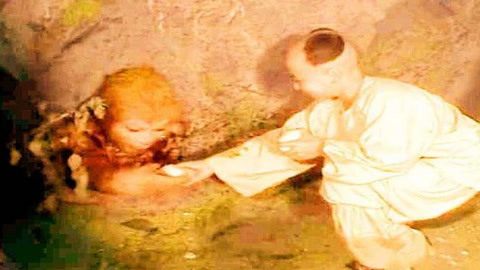 东海人鱼传2 视频海报