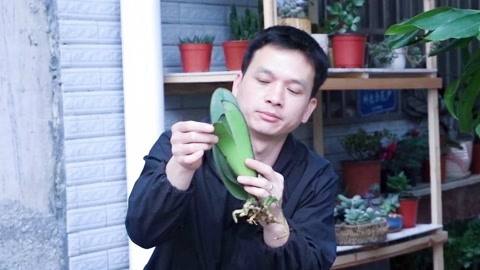 冒牌财神爷 视频缩略图