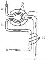 国王的全息图 视频缩略图