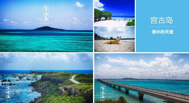 喋血双雄 2024 视频缩略图