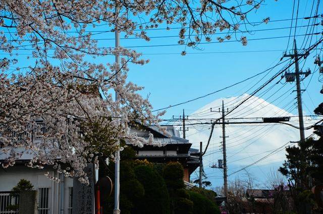 在街上 视频缩略图