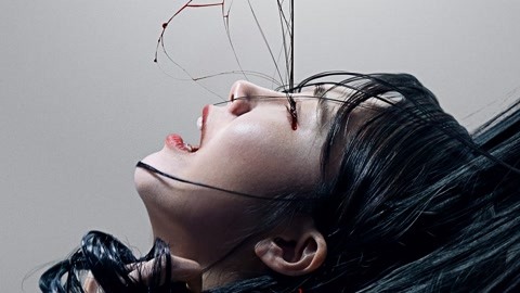 同在蓝天下 视频缩略图