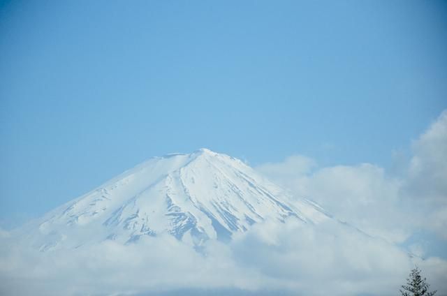 坚不可摧的男孩 视频缩略图