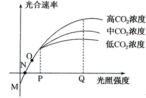 三面夏娃 视频缩略图