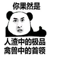 与你飞翔 视频缩略图