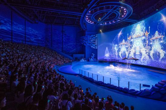 三勘蝴蝶梦 视频海报