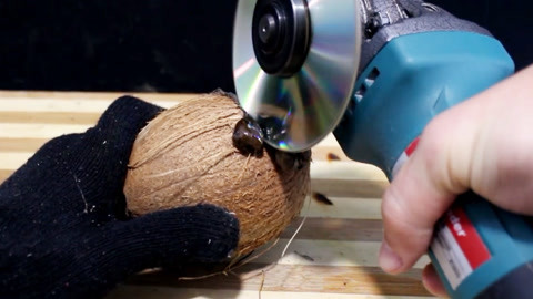 东方老虎 视频缩略图