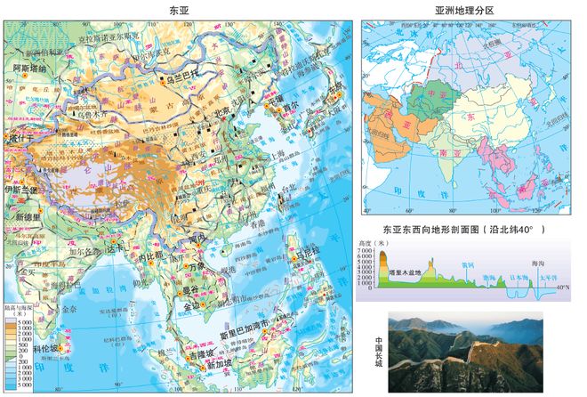 凶猫 兇貓 视频缩略图