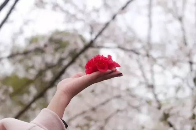 在我走之前 视频缩略图