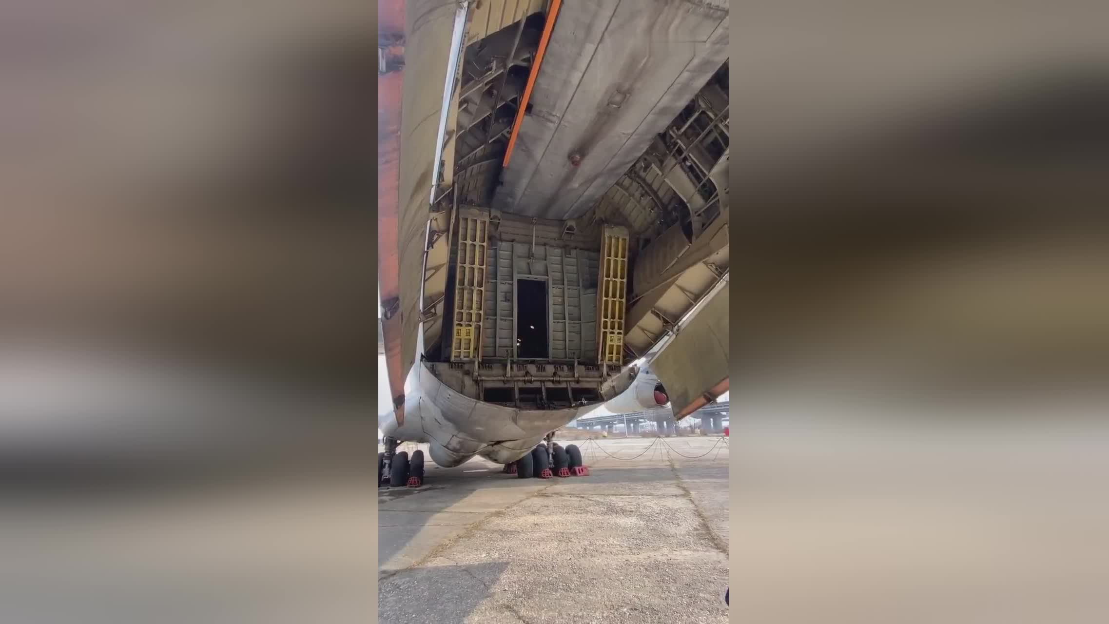 命运之矛 视频缩略图