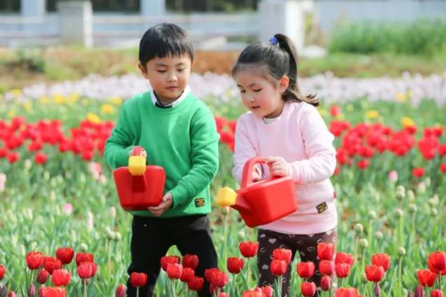 凯尔经的秘密 视频海报