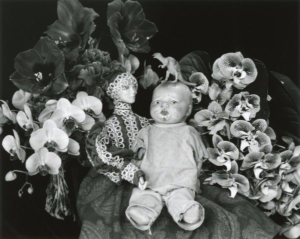 不知恋爱的我们 视频海报