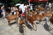 另一街区 视频海报