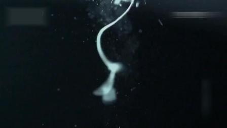 危险卧底（英语版） 视频海报