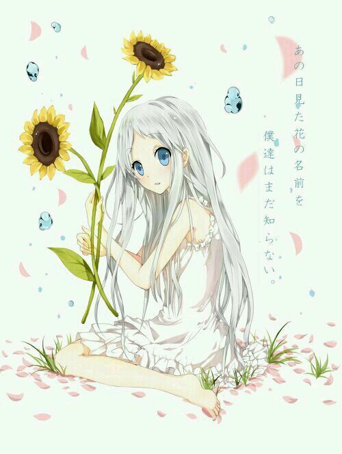 史蒂夫 Steve 视频海报