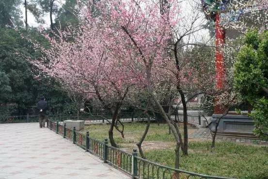 喔我的僵尸 视频缩略图