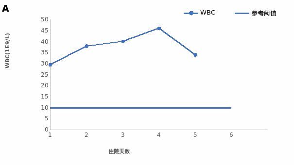 唐探1900 视频海报