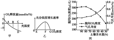 决战发财日 视频海报