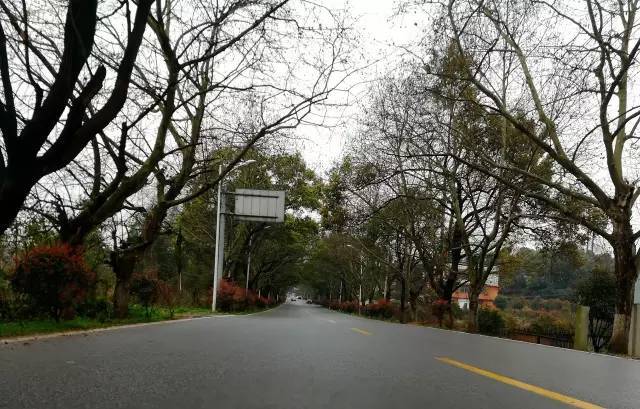 圣克莱尔 视频缩略图