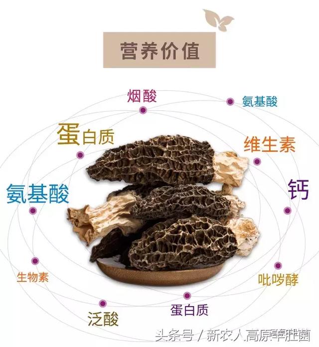 名侦探柯南 灰原哀物语~黑铁的神秘列车