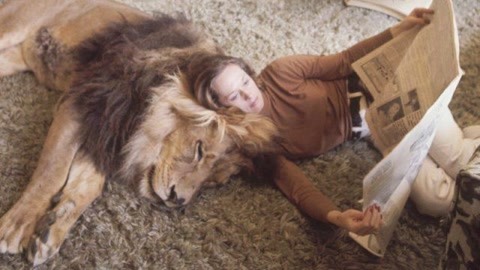 不梦幻足球队 视频主图