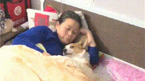 偷心的女人 视频缩略图