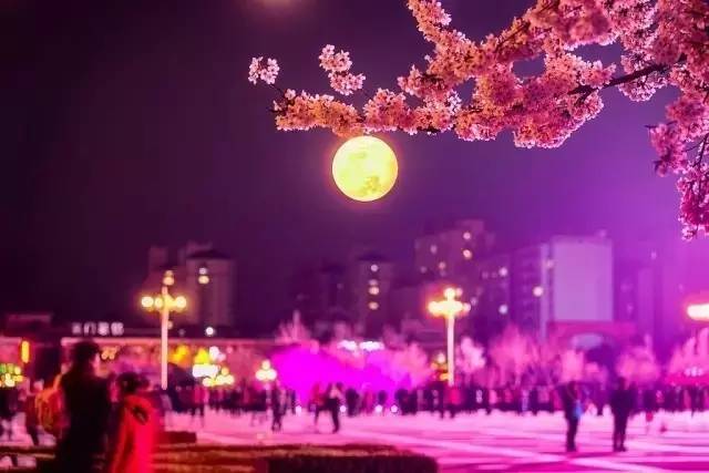 呆瓜兄弟 视频缩略图