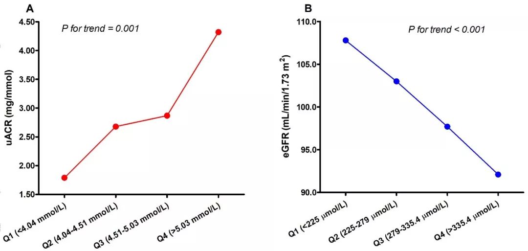 圣诞城堡 视频缩略图