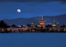 在他的阴影下 视频海报