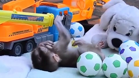 冒牌搭档 视频海报