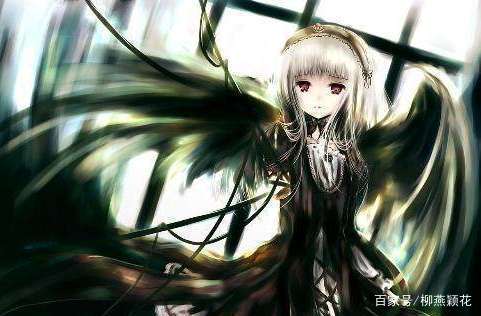 圣父与光之使命 视频缩略图