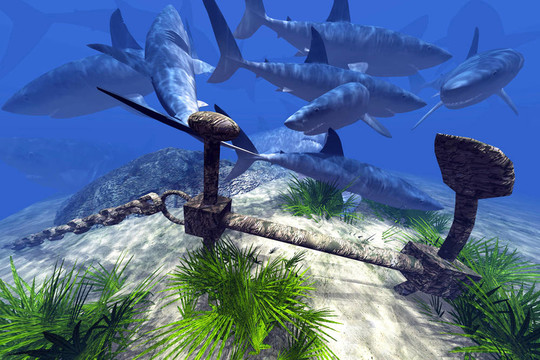 与我同行 视频海报