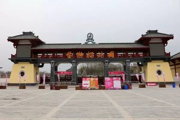 在金星重逢 视频缩略图