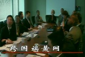 三叶草喷火战斗机 视频缩略图