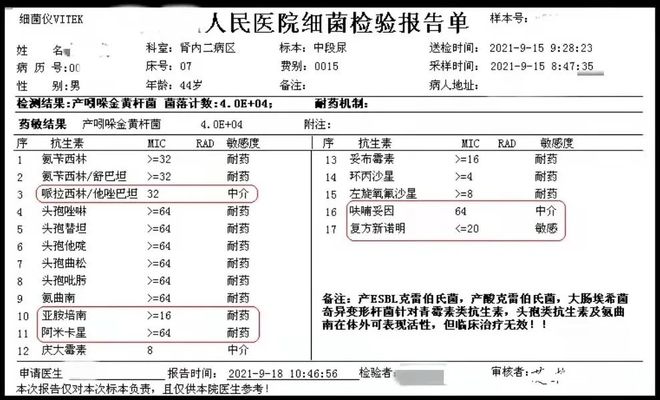 喷火龙 视频缩略图