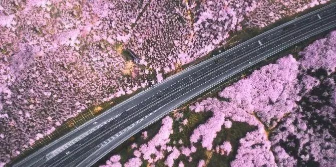 古惑仔：以暴制暴 视频缩略图