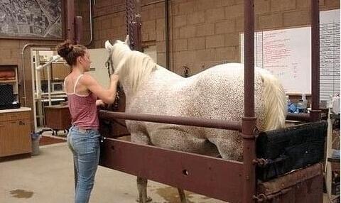 不亲密朋友 视频缩略图