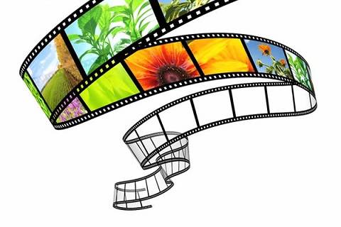 OMG! 我爱你 但不合时宜