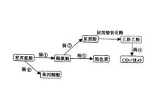 坏教育 视频缩略图