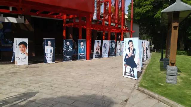 向日葵与幼犬的7天 视频海报