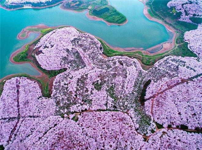 兄弟闯天涯 视频主图