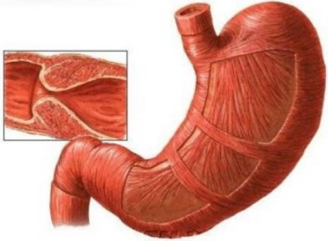 冬日暖阳 视频缩略图