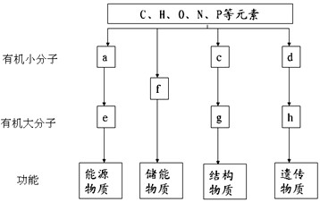反贪风暴4（普通话） 视频缩略图