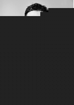 两个爸爸的故事​ 视频缩略图