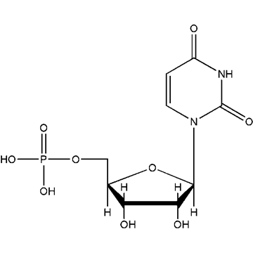 三日月与猫 视频缩略图