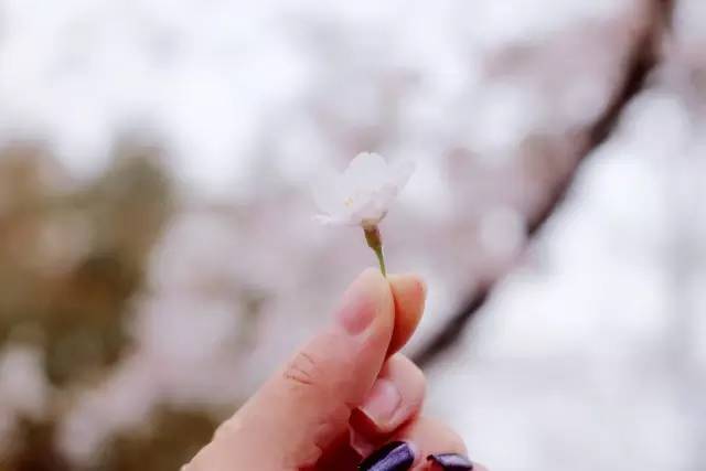 元宵节的结 视频缩略图