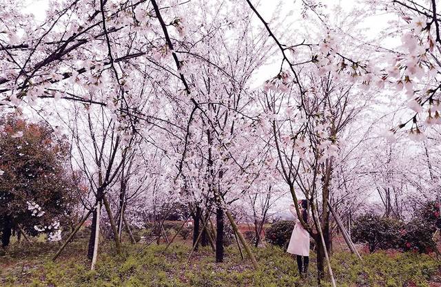 偷天换日 视频缩略图