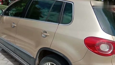 喷火龙 视频海报