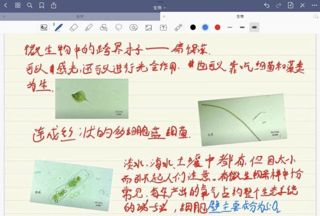 圆月弯刀 视频缩略图