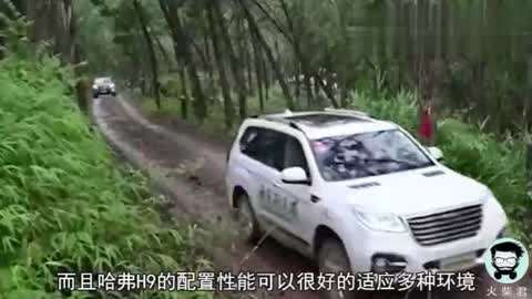 世界之王 视频缩略图